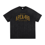 T-shirt in black vintage-washed with gold Area 480 arch lettering and Wolvyn Apparel branding.