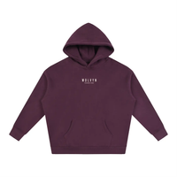 Wolvyn Apparel Foundations 002 oversized fleeced hoodie in plum with white front logo.