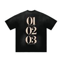 Wolvyn Ambition Hand-Frayed Sunfade T-Shirt, black with vertical beige back graphic 01 WATCH 02 POTS 03 SCALES by ODMPOD