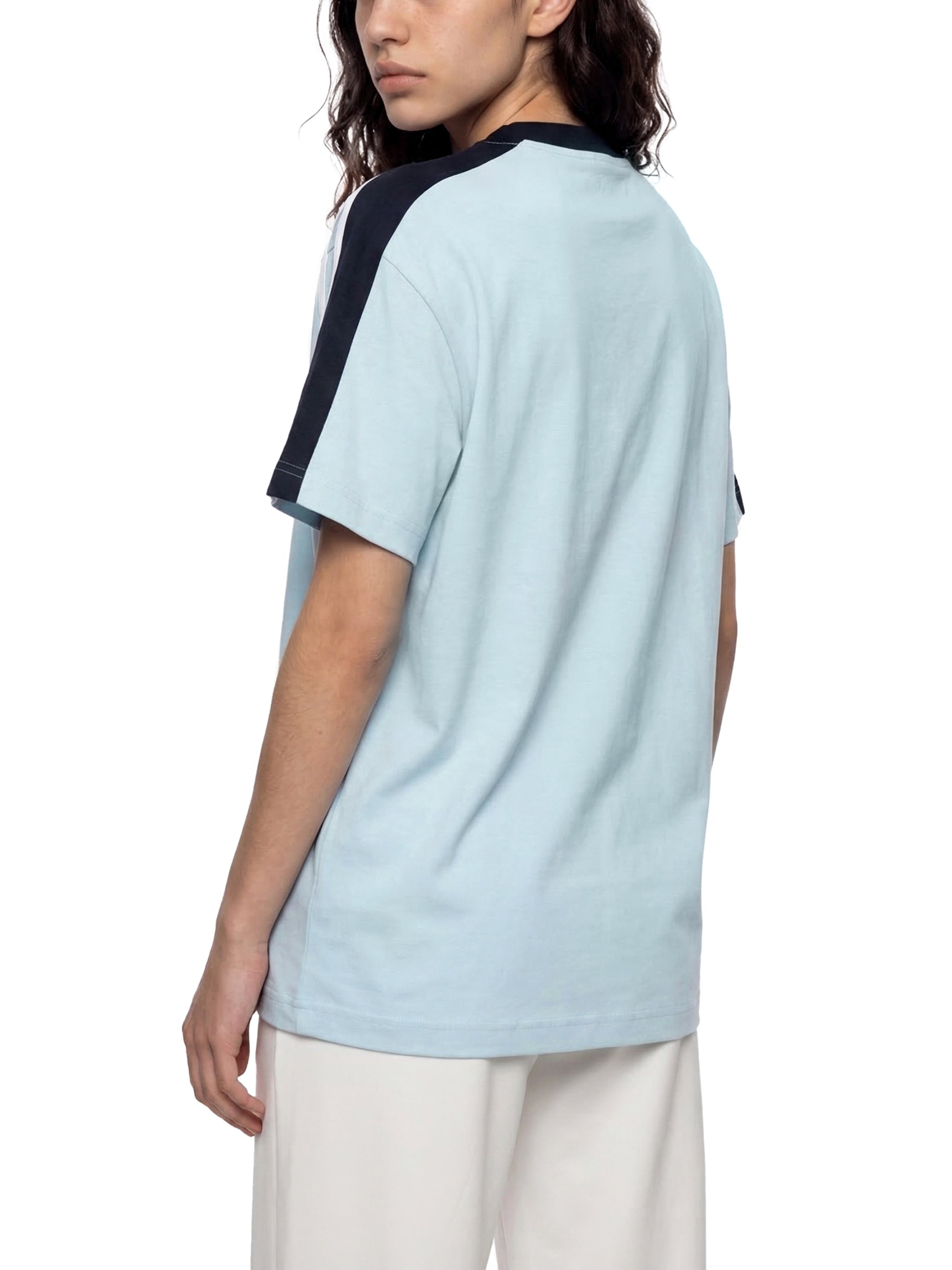 Unisex colorblock striped t-shirt with light blue body and dark shoulder panels, back view