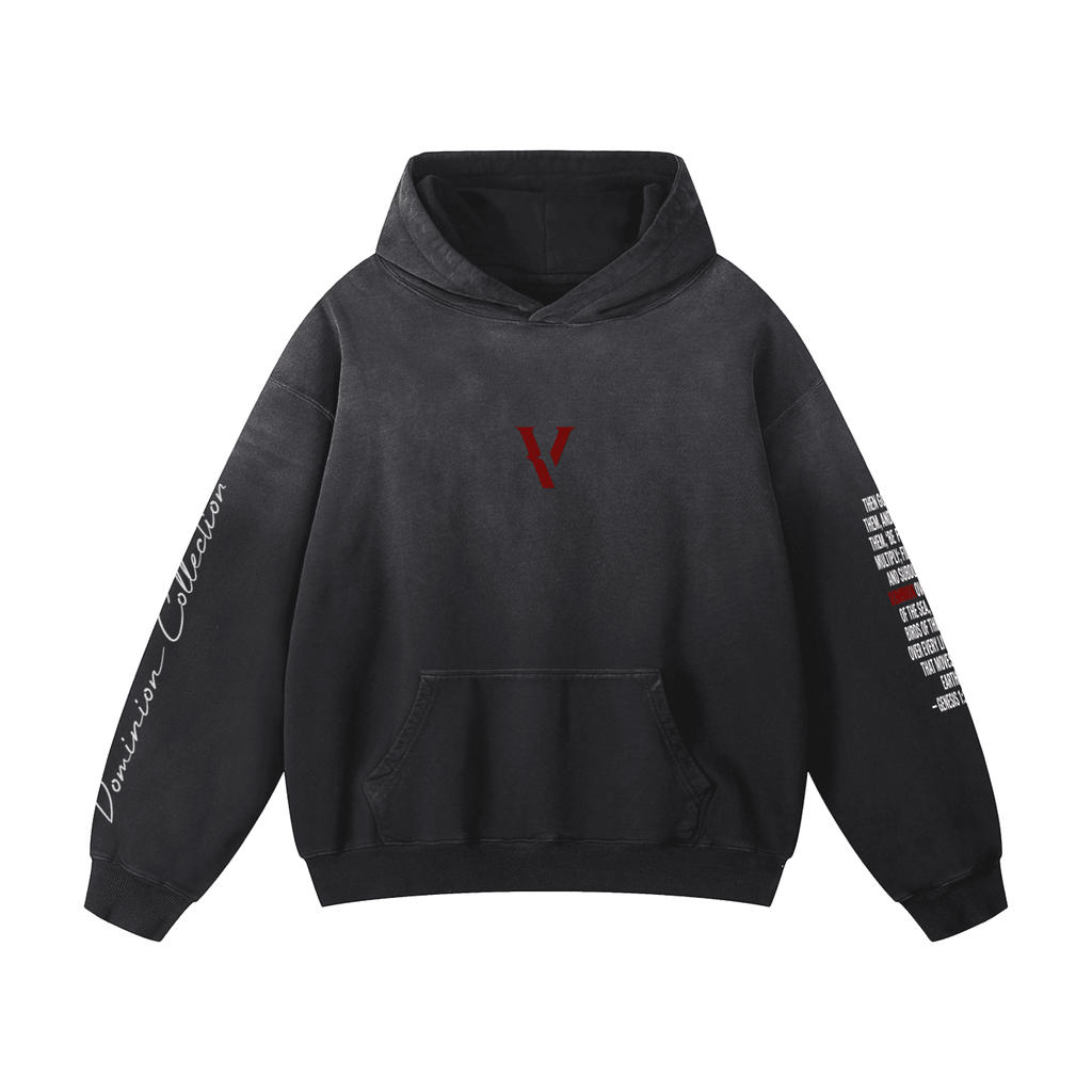 Villain by Wolvyn Apparel Dominion Collection Heavyweight Sunfade Oversized Hoodie