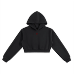 black cropped hoodie with small red V logo on chest, heavyweight streetwear style