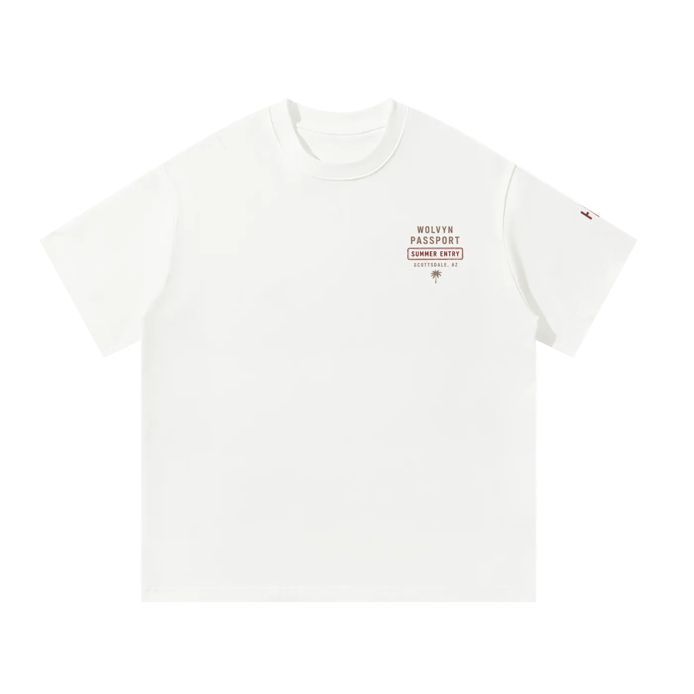 Wolvyn Apparel ‘Destination’ Unisex Oversized T-Shirt - Wolvyn Apparel