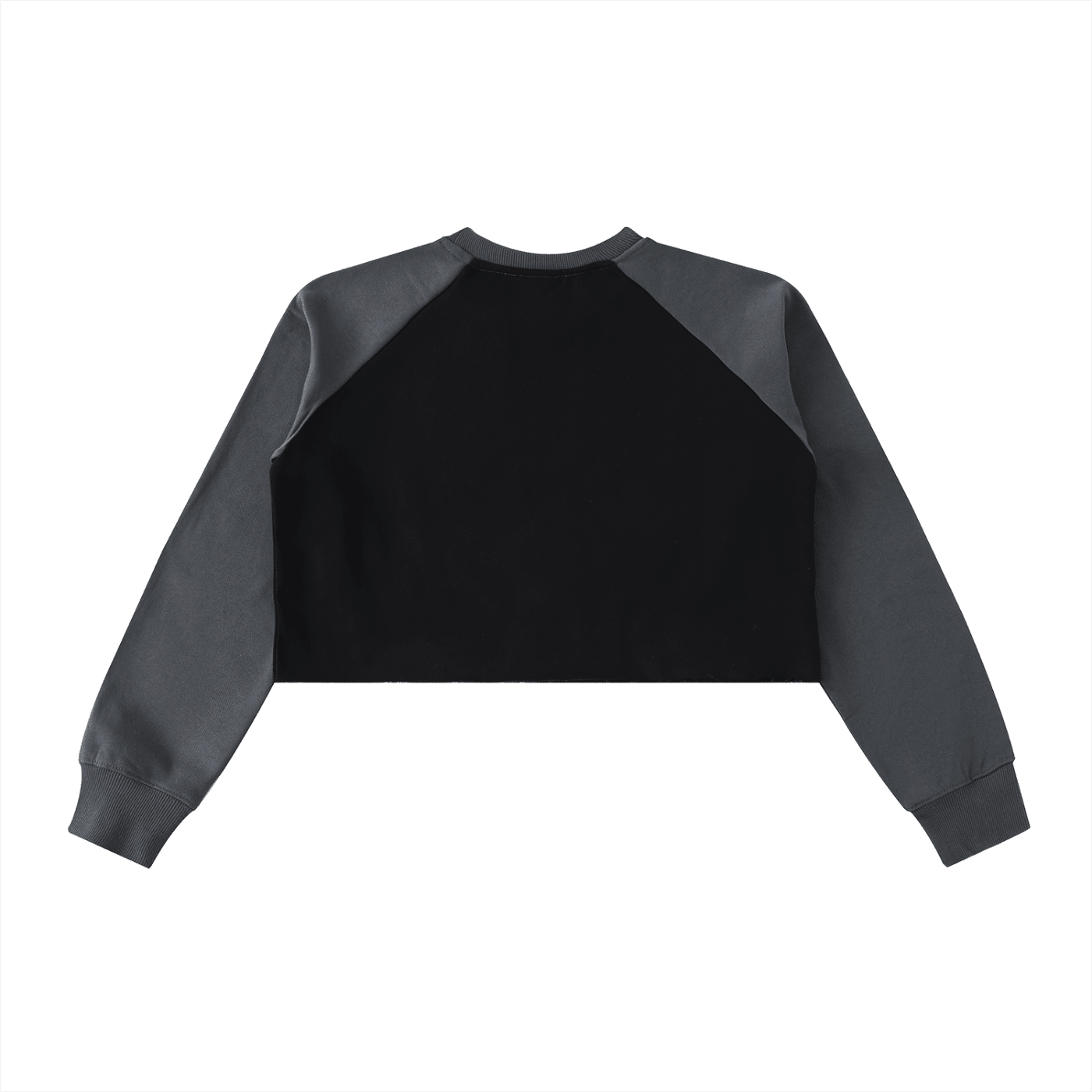 Back view of color block raglan crop sweatshirt with raw hem and contrast sleeves