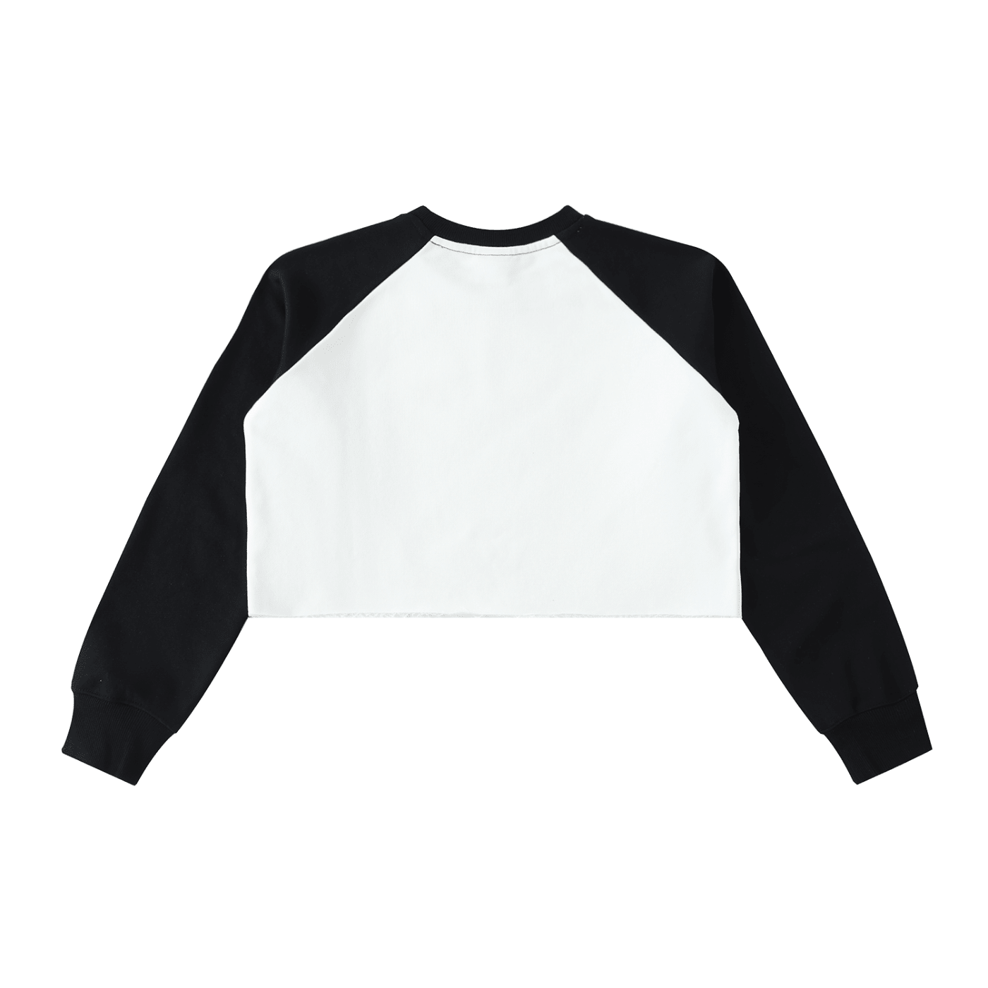 Back view of a color block raglan crop sweatshirt with black sleeves and white body, raw hem.