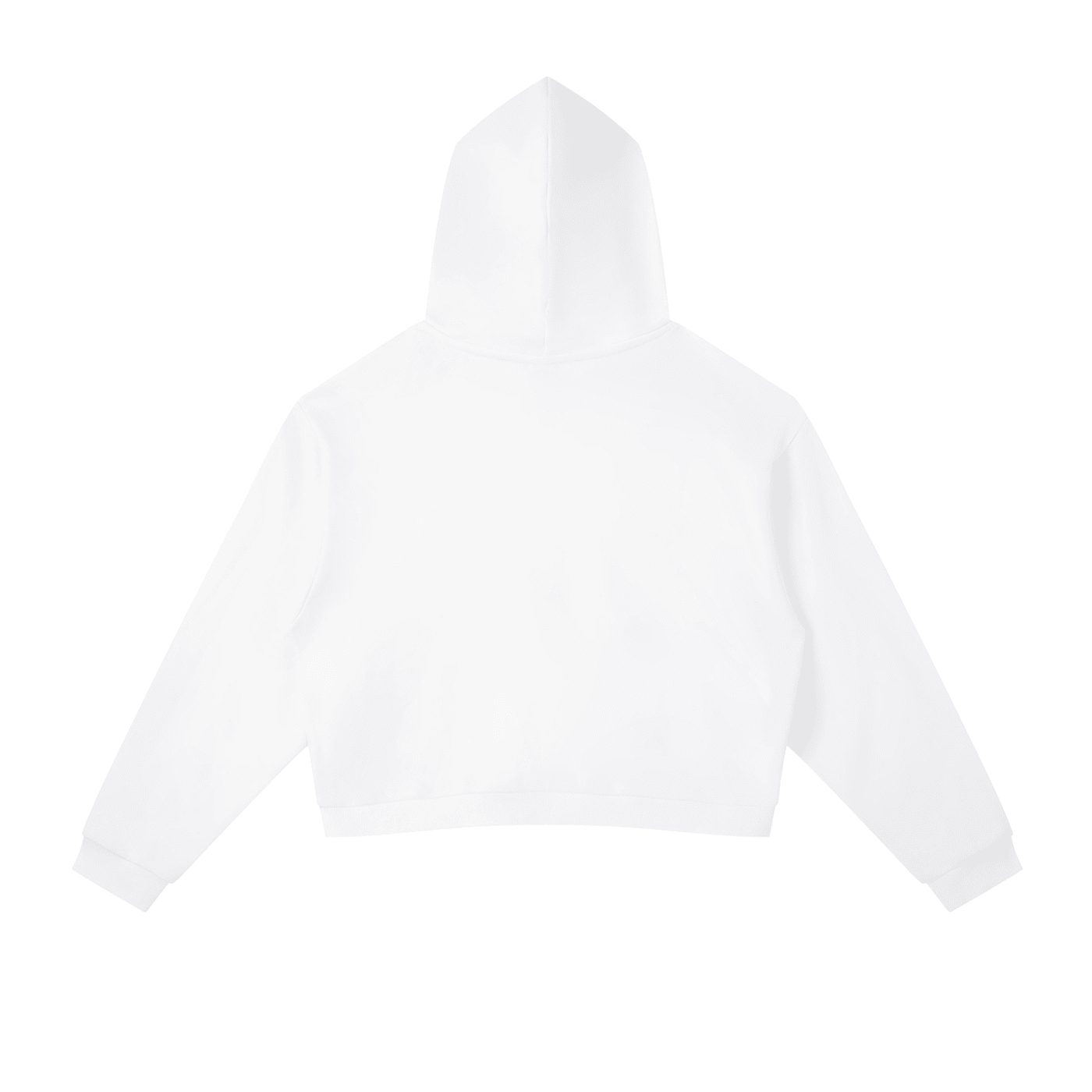 Wolvyn Apparel "Saguaro" Contrast Side Stripe Cropped Hoodie - Wolvyn Apparel