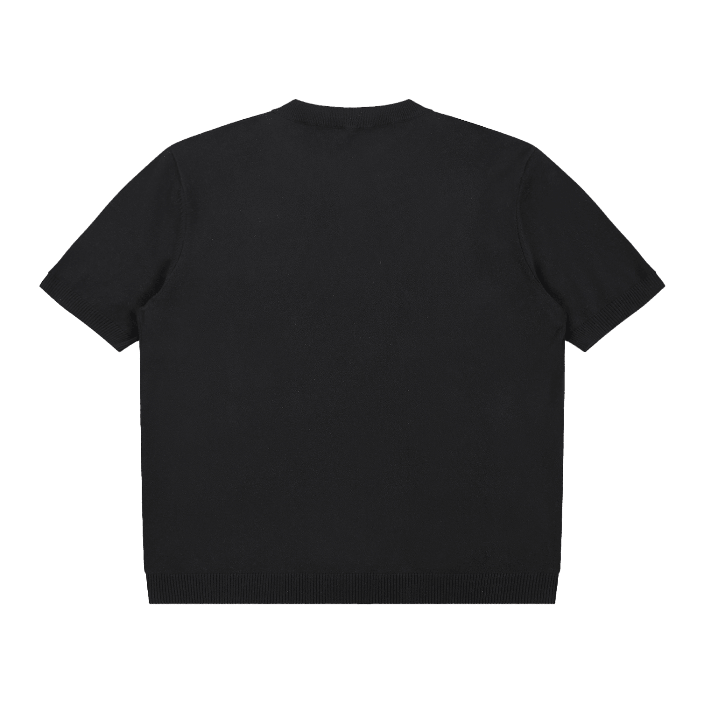 Back view of black cotton knit short sleeve t-shirt, heavyweight streetwear style