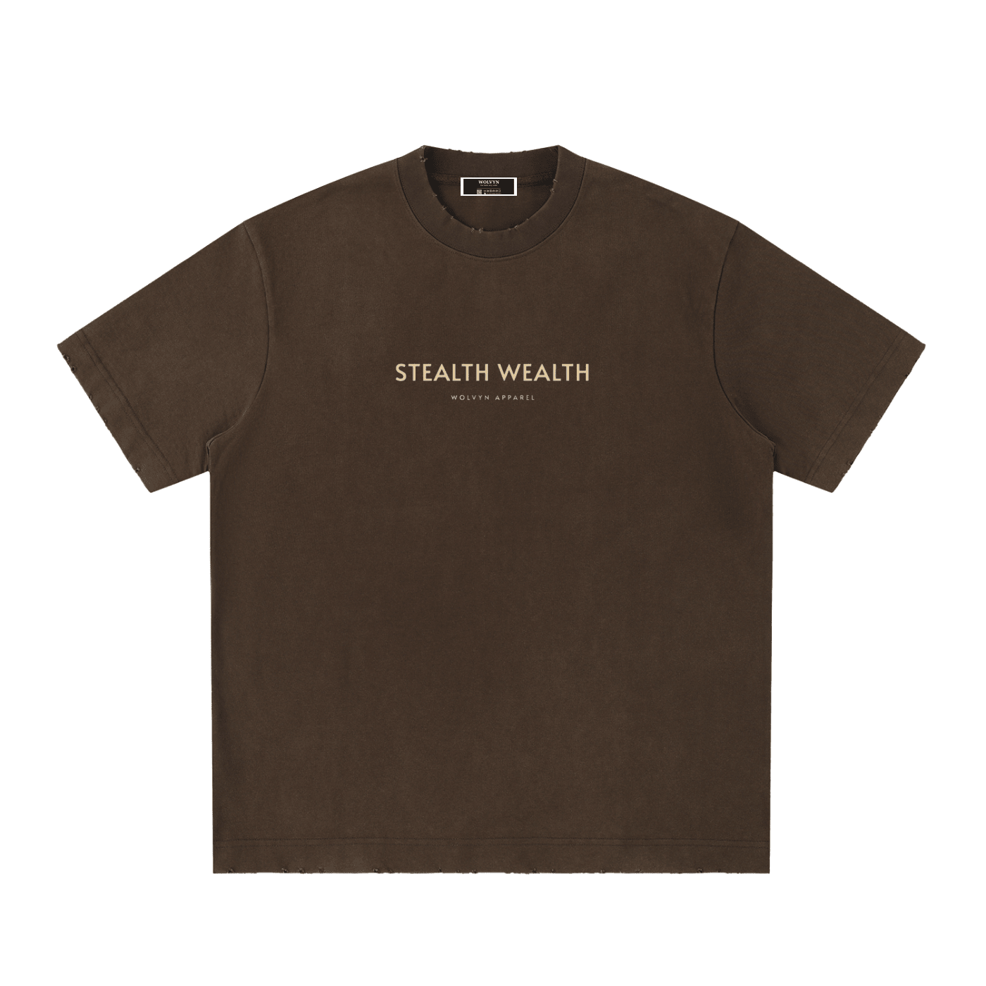 Brown heavyweight vintage washed t-shirt with 'STEALTH WEALTH' text on chest, streetwear style