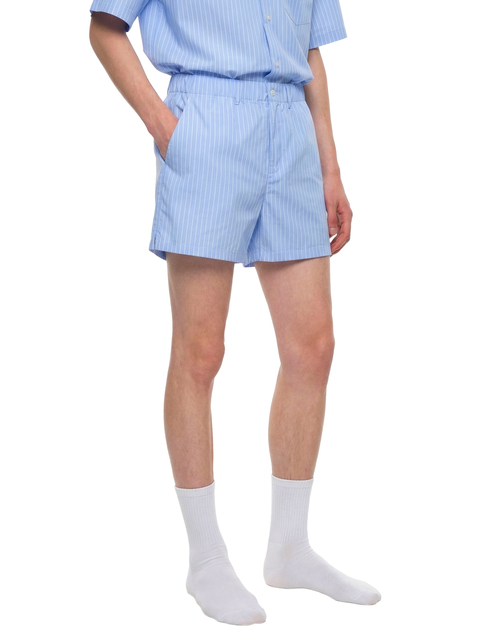 Wolvyn Apparel "Suguaro" Striped Elastic Waist Shorts - Wolvyn Apparel