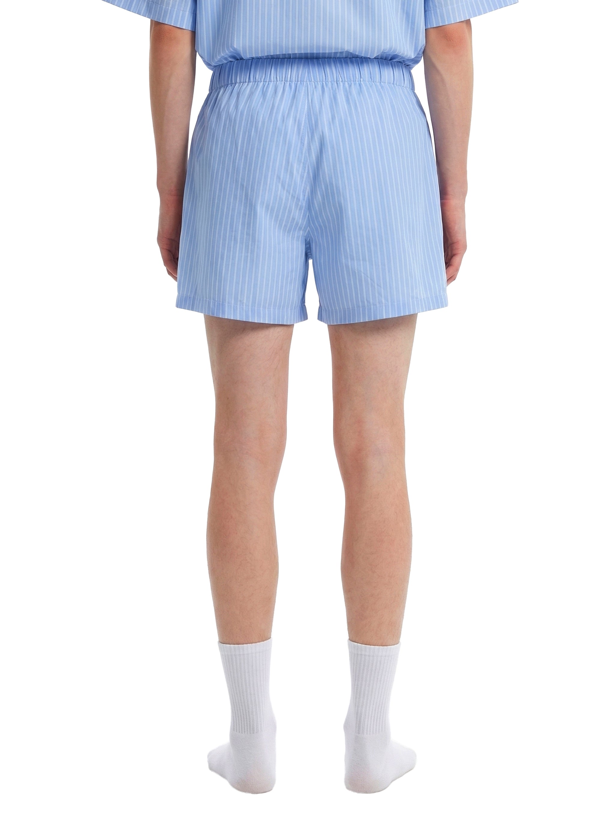 Wolvyn Apparel "Suguaro" Striped Elastic Waist Shorts - Wolvyn Apparel