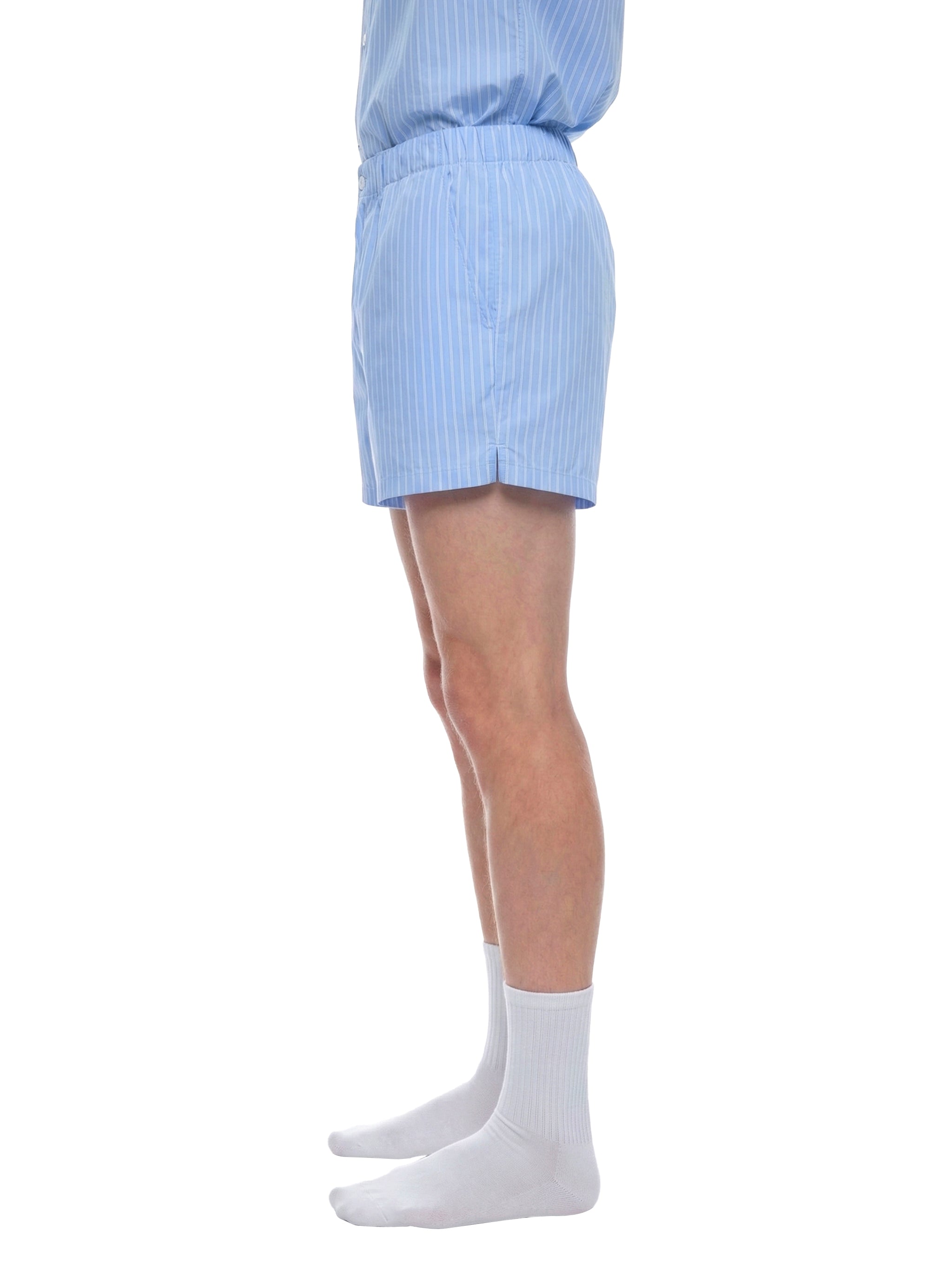Wolvyn Apparel "Suguaro" Striped Elastic Waist Shorts - Wolvyn Apparel