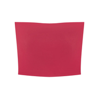 Wolvyn Apparel Women’s Yoga Cropped Tube Top - Wolvyn Apparel